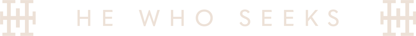 hewhoseeks logo