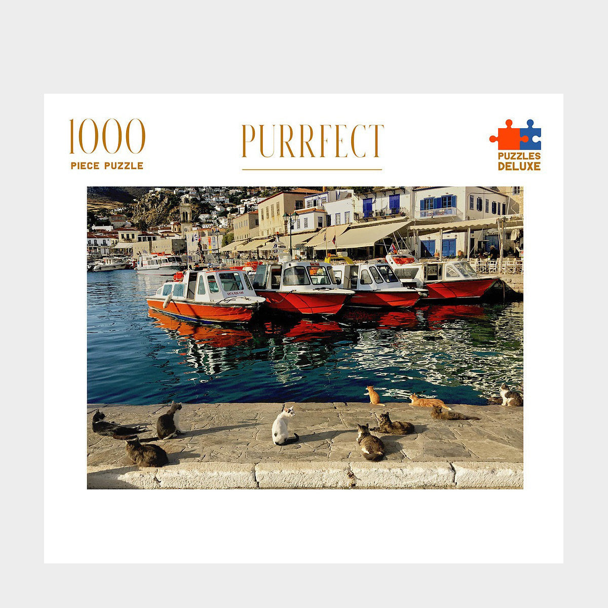 Purrfect 1000 Piece Puzzle
