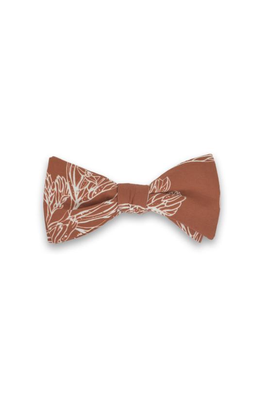 Peggy and Finn Kangaroo Paw Burnt Orange Bow Tie